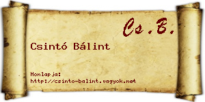 Csintó Bálint névjegykártya